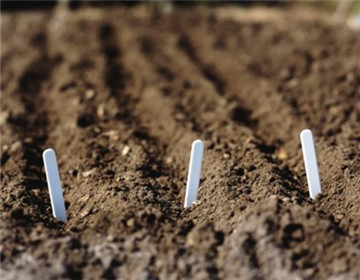 君子兰培养土的配制，学好下面几步轻松做出高质量培养土